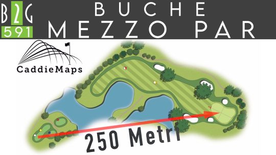 Buche mezzo par