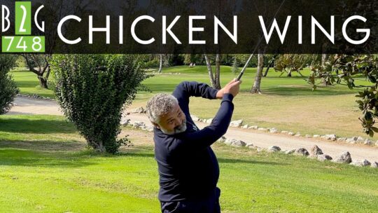 Chicken wing:  Swing – 748