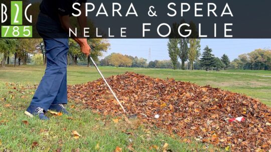 Foglie: Spara e Spera – 785