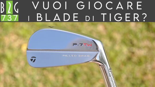 Vuoi giocare i ferri di Tiger?