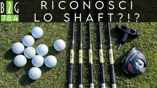 Sfida: riconosci lo Shaft! – 784